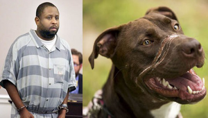 Abuser of “Caitlyn the dog” DENIED parole – He will serve the rest of his sentence!