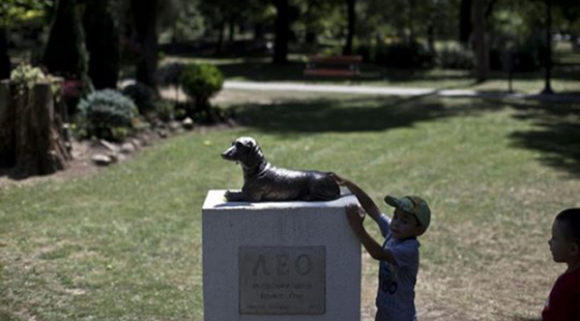 Dog Who Died Protecting A Little Girl Now Watches Over All Kids In The Park