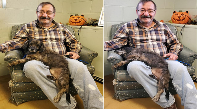 He's Perfect I'll Take Him:Man Adopt An Old Dog With Lumps And Diseases
