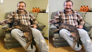 He's Perfect I'll Take Him:Man Adopt An Old Dog With Lumps And Diseases