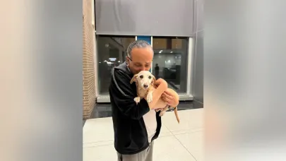 Bam Bam Found Safe: Emotional Reunion in Chicago Police Station