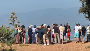 Antalya'da 30 yıl sonra görüldü