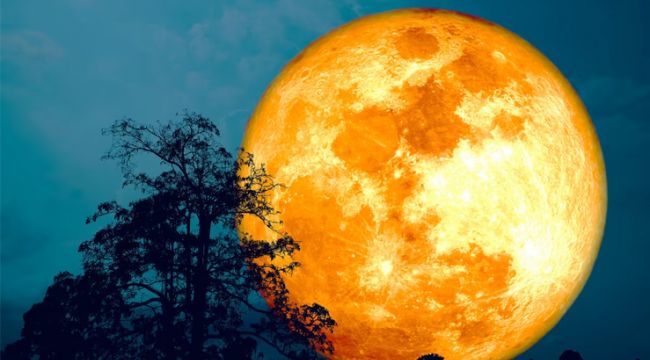 August 2025 Sturgeon Moon: A Rare Month with Two First Quarter Moons in Every Time Zone