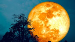 August 2025 Sturgeon Moon: A Rare Month with Two First Quarter Moons in Every Time Zone