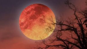 Blood Moon 2025: Where and When to Watch the Total Lunar Eclipse on September 7