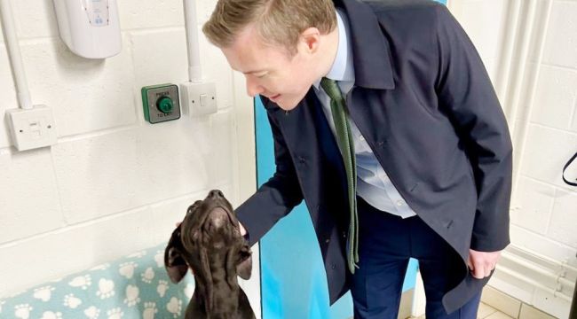 Bromsgrove MP Champions New Law to Regulate Animal Shelters