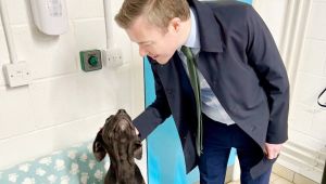 Bromsgrove MP Champions New Law to Regulate Animal Shelters
