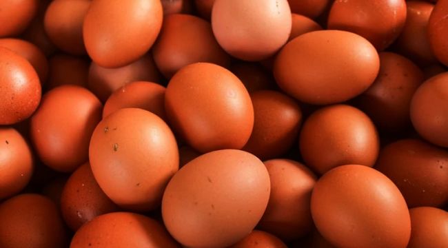 Marketlerde artık kahverengi yumurta satılmayacak ! Nedeni
