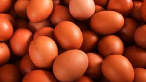 Marketlerde artık kahverengi yumurta satılmayacak ! Nedeni
