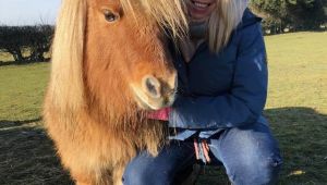 The Healing Horse Sanctuary to Launch New Shop in Bromsgrove