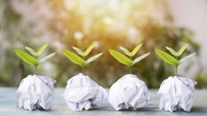 Ağaçsız Kâğıt Dönemi: Polenle Çevre Dostu Üretim