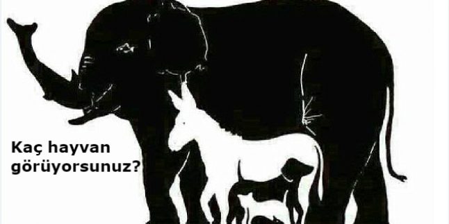 Görsel Zeka Testi: Bu Resimde Kaç Hayvan Var? 1000 Kişiden Sadece 1’i Resimdeki Tüm Hayvanları Görebiliyor!