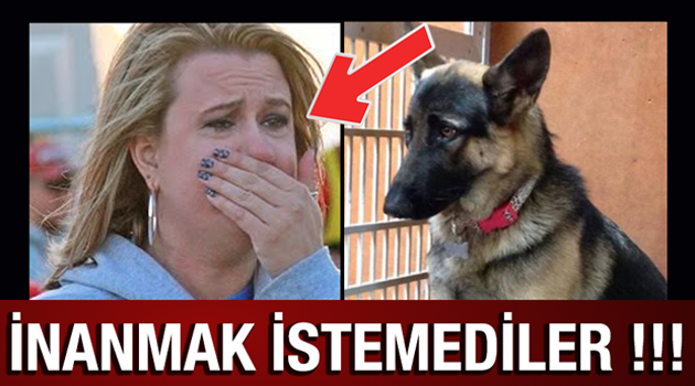 Sahipleri Uyurken köpeğin her Gece yaptığını görenler şaşkınlıklarını gizleyemediler !