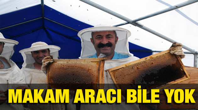 Ovacığı ne hale getirmiş yazık !