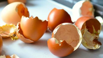 Boil Eggshells and Say Goodbye to Weak Bones: The Surprising Health Benefits of This Natural Calcium Source