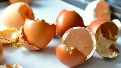 Boil Eggshells and Say Goodbye to Weak Bones: The Surprising Health Benefits of This Natural Calcium Source