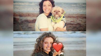 From Gray to Chocolate: Dog’s Miraculous Transformation After Beating Cancer