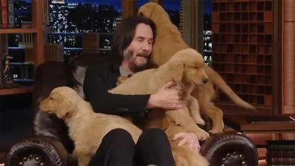 Keanu Reeves: The Actor Whose Quiet Kindness Redefines Hollywood Stardom