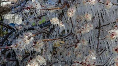 Meteoroloji’den Tarım Uyarısı:Bu 5 İl İçin Zirai Don Alarmı!