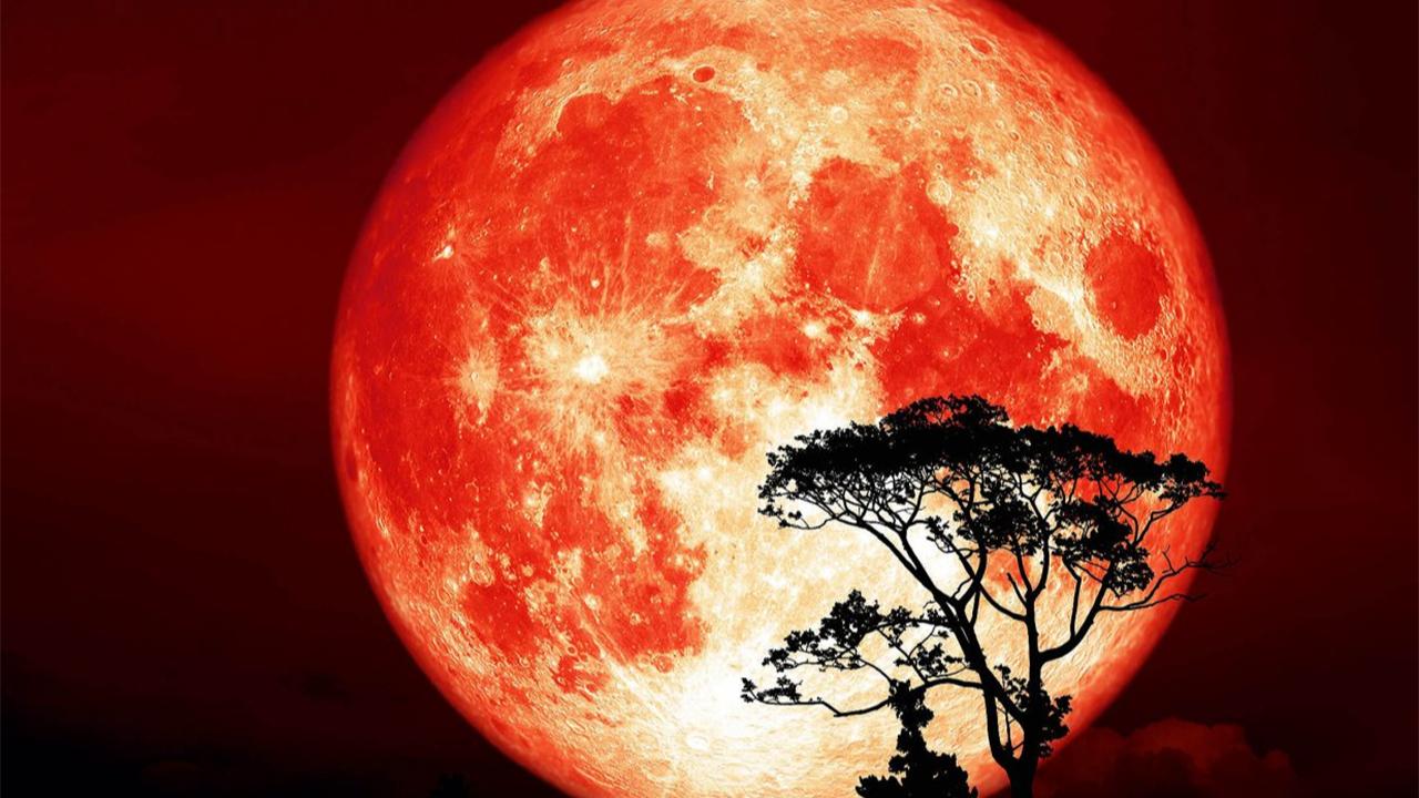 Super Hunter’s Moon 2025: When and How to See October’s Rare Full Moon