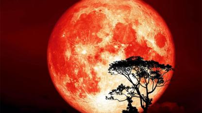 Super Hunter’s Moon 2025: When and How to See October’s Rare Full Moon