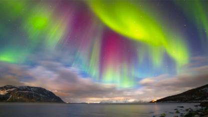 Where to See the Northern Lights in Tromsø: Top Spots for an Unforgettable Aurora Experience