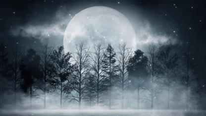 The Cold Moon of December: lunar dynamics, winter illumination, and the physics of the year’s last full Moon