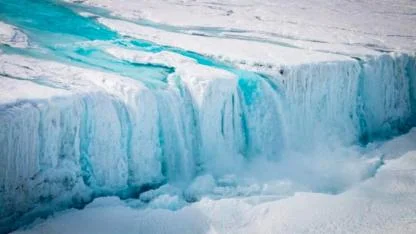 Antarctica’s Silent Emergency: A Global Warning From 500 Polar Scientists