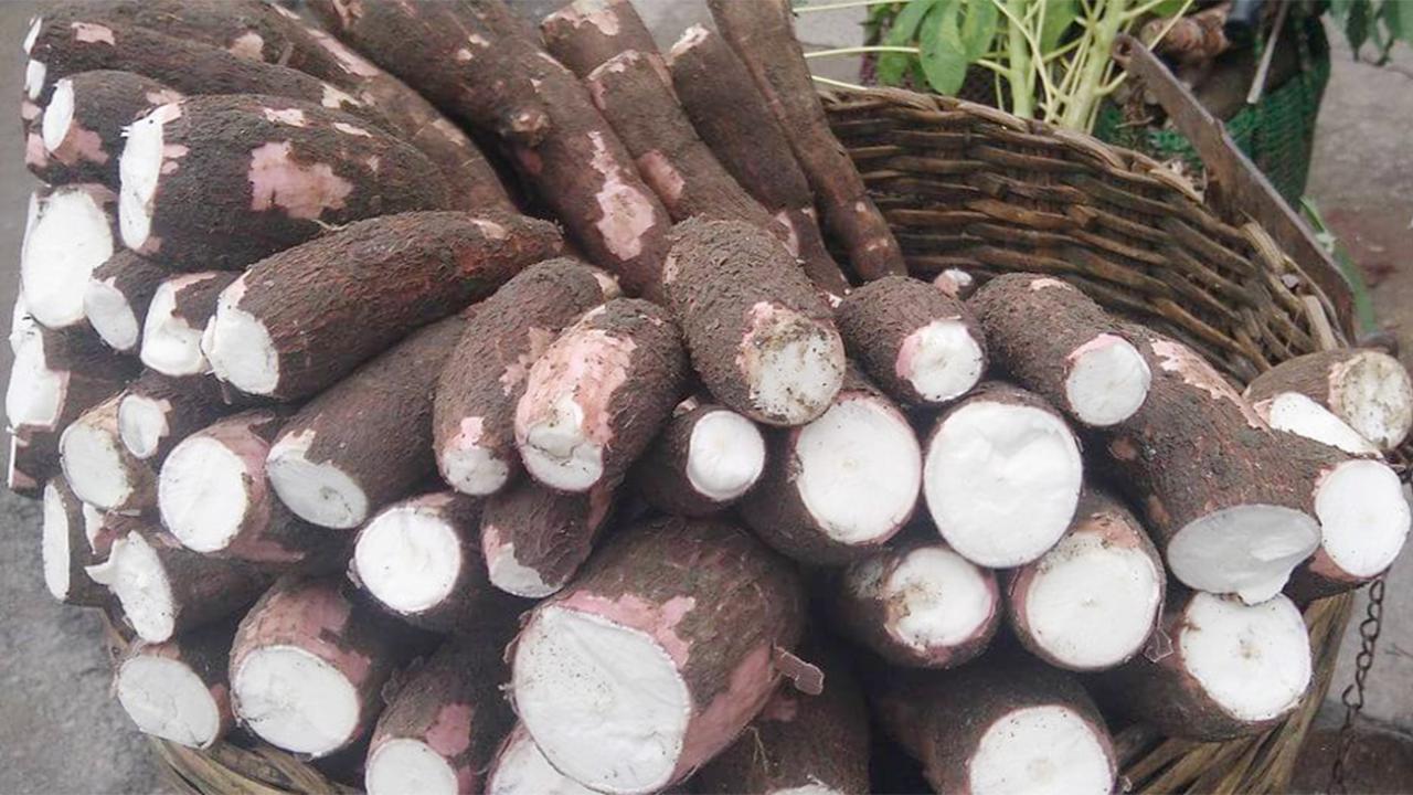 The Hidden Danger in a Global Staple: What You Need to Know About This Food For Safety