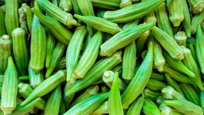Okra and diabetes: can this green vegetable really help control blood sugar?