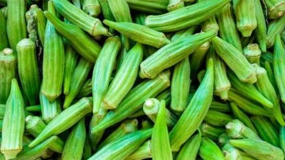 Okra and diabetes: can this green vegetable really help control blood sugar?
