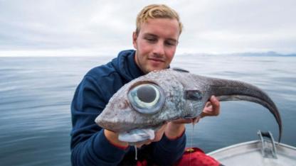Teen Fisherman’s Astonishing Catch: Norway’s Rare Mouse Fish From the Age of Dinosaurs