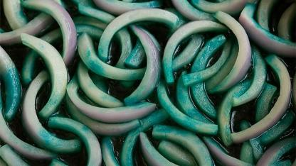 Why did my onions turn blue-green while cooking? The surprising kitchen science explained