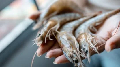 The Shrimp Vein Explained: Should You Remove It or Eat It Anyway?