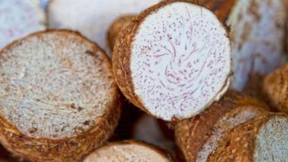 The Surprising Health Secret of a Cancer-Resistant Village: Why root vegetable Deserves Your Attention