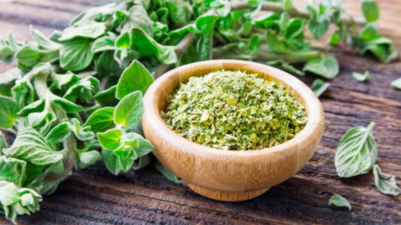 Why Oregano Deserves a Place in Every Senior’s Kitchen