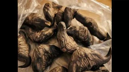 The Mystery Produce Bag: How a Neighbor’s Gift Turns Into Connection and Creativity