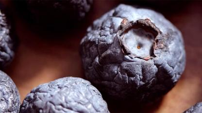 White Worms in Blueberries? Here’s the Truth About What You’re Really Seeing