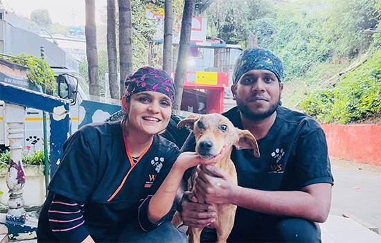 From pain to hope: Stray dog with massive tumor on his head gets a second chance at life in India
