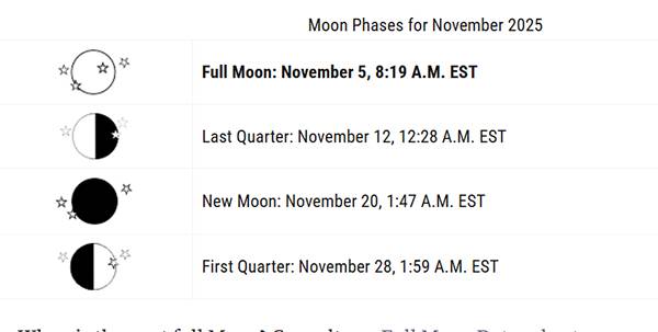 November’s Brilliant Beaver Supermoon 2025: When and How to See the Year’s Closest Full Moon
