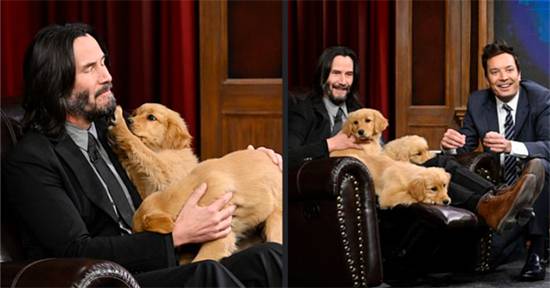 Keanu Reeves: The Actor Whose Quiet Kindness Redefines Hollywood Stardom