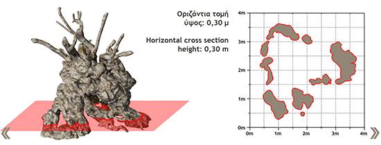 Ancient Olive of Crete Still Bears Fruit After 3,000 Years