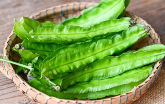 Winged Beans: The Surprising Superfood Doctors Want You to Add to Your Diet