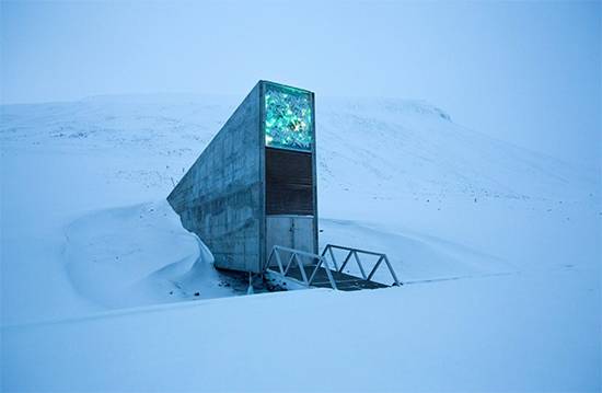 Inside Svalbard’s Secret Seed Vault: How the “Doomsday” Facility Protects Our Global Food Future