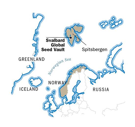 Inside Svalbard’s Secret Seed Vault: How the “Doomsday” Facility Protects Our Global Food Future