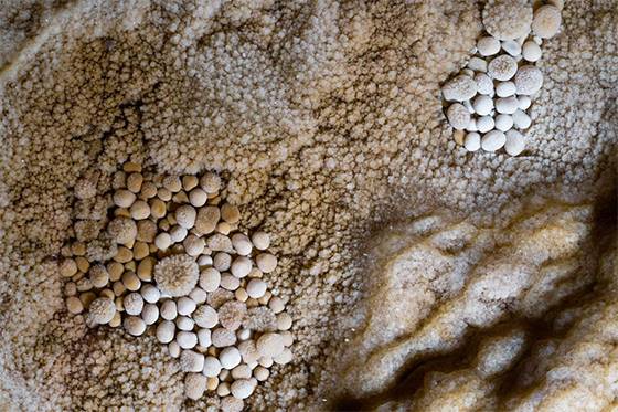 Hidden Wonders: The Mesmerizing Formation and Science of Cave Pearls