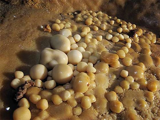 Hidden Wonders: The Mesmerizing Formation and Science of Cave Pearls