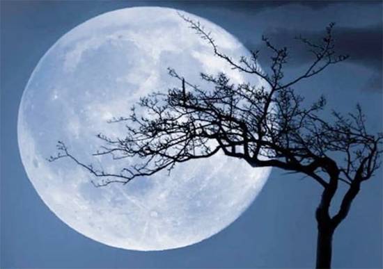 The Cold Moon of December: lunar dynamics, winter illumination, and the physics of the year’s last full Moon