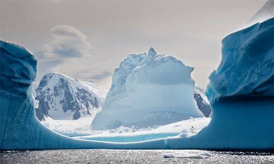 Antarctica’s Silent Emergency: A Global Warning From 500 Polar Scientists