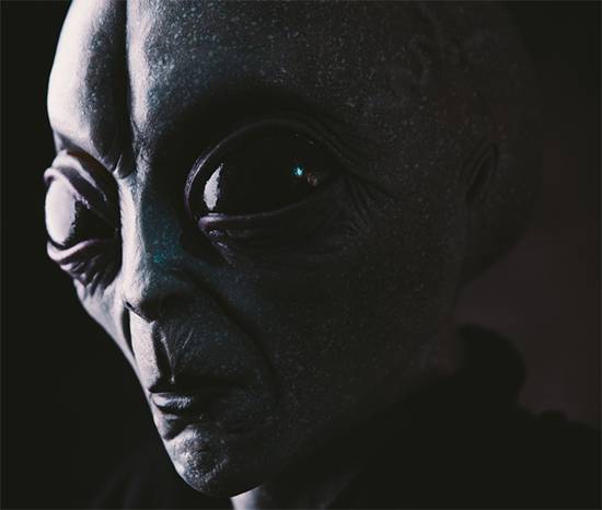 Backyard mystery: strange ‘alien’ object discovery leaves the internet baffled